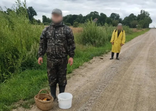Остались без связи и вышли в болото: спасатели нашли в лесу Правдинского округа двух заблудившихся мужчин Остались без связи и вышли в болото: спасатели нашли в лесу Правдинского округа двух заблудившихся мужчин