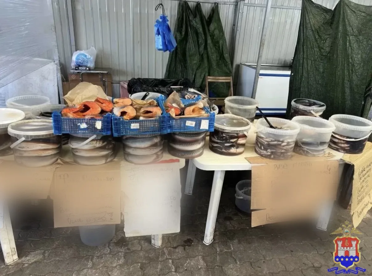 Сотни килограммов рыбы и 47 кубометров древесины изъяли в Калининградской области Сотни килограммов рыбы и 47 кубометров древесины изъяли в Калининградской области
