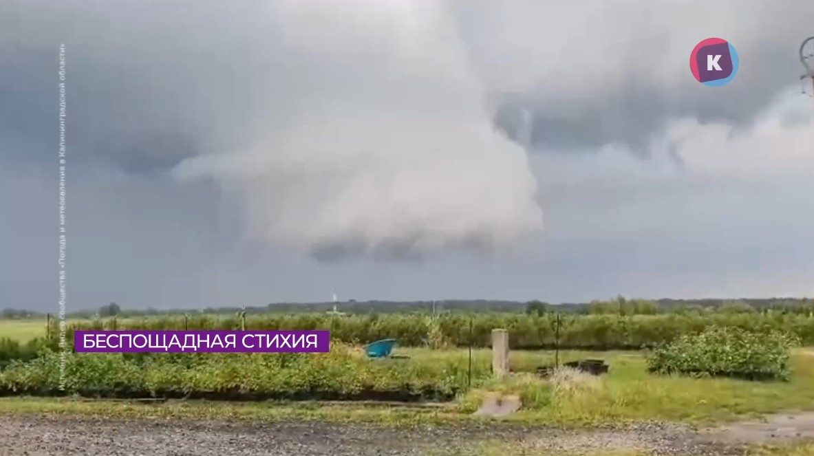 В Калининградской области семья чудом спаслась от смерча В Калининградской области семья чудом спаслась от смерча