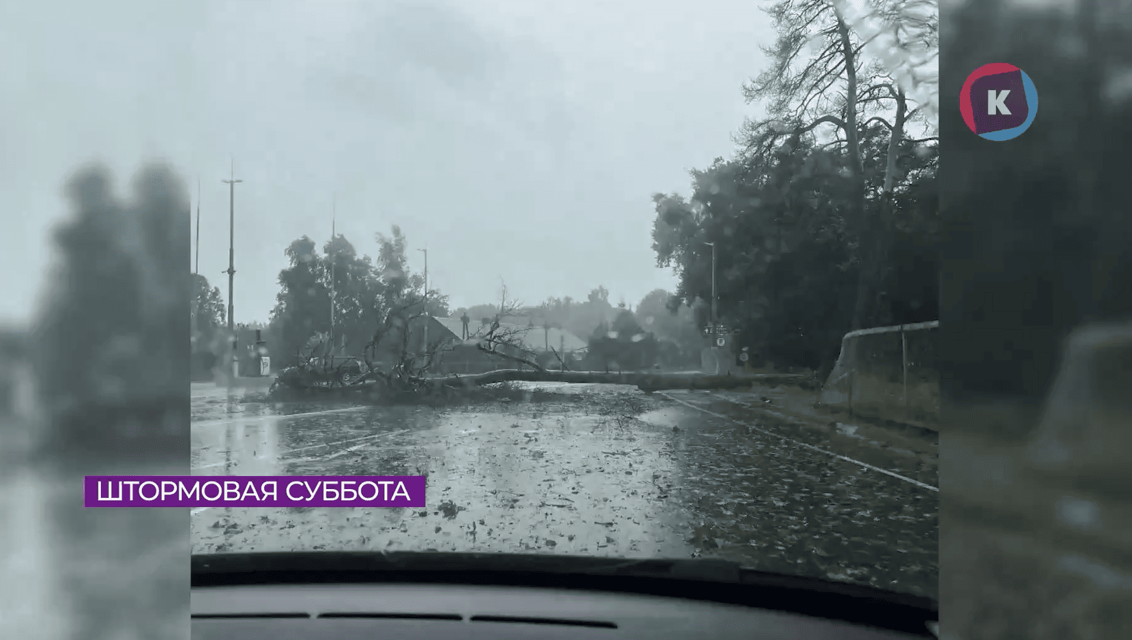Более 500 поваленных деревьев убрали во время шторма Более 500 поваленных деревьев убрали во время шторма