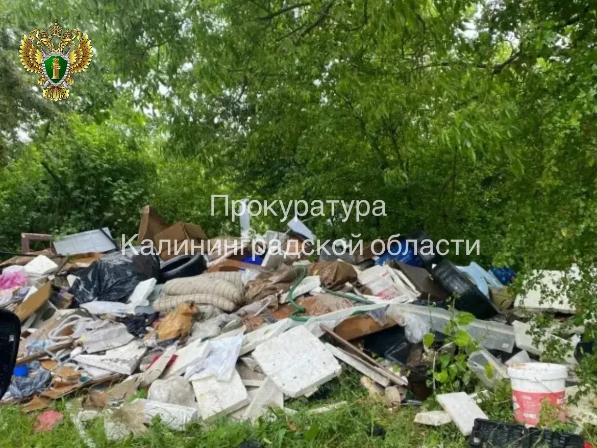 В Гурьевском округе ликвидировали свалку после вмешательства прокуратуры В Гурьевском округе ликвидировали свалку после вмешательства прокуратуры