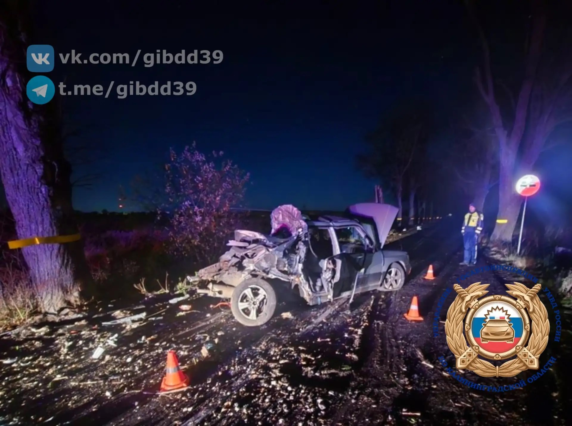 Автомобиль врезался в дерево рядом с посёлком Шатрово Автомобиль врезался в дерево рядом с посёлком Шатрово