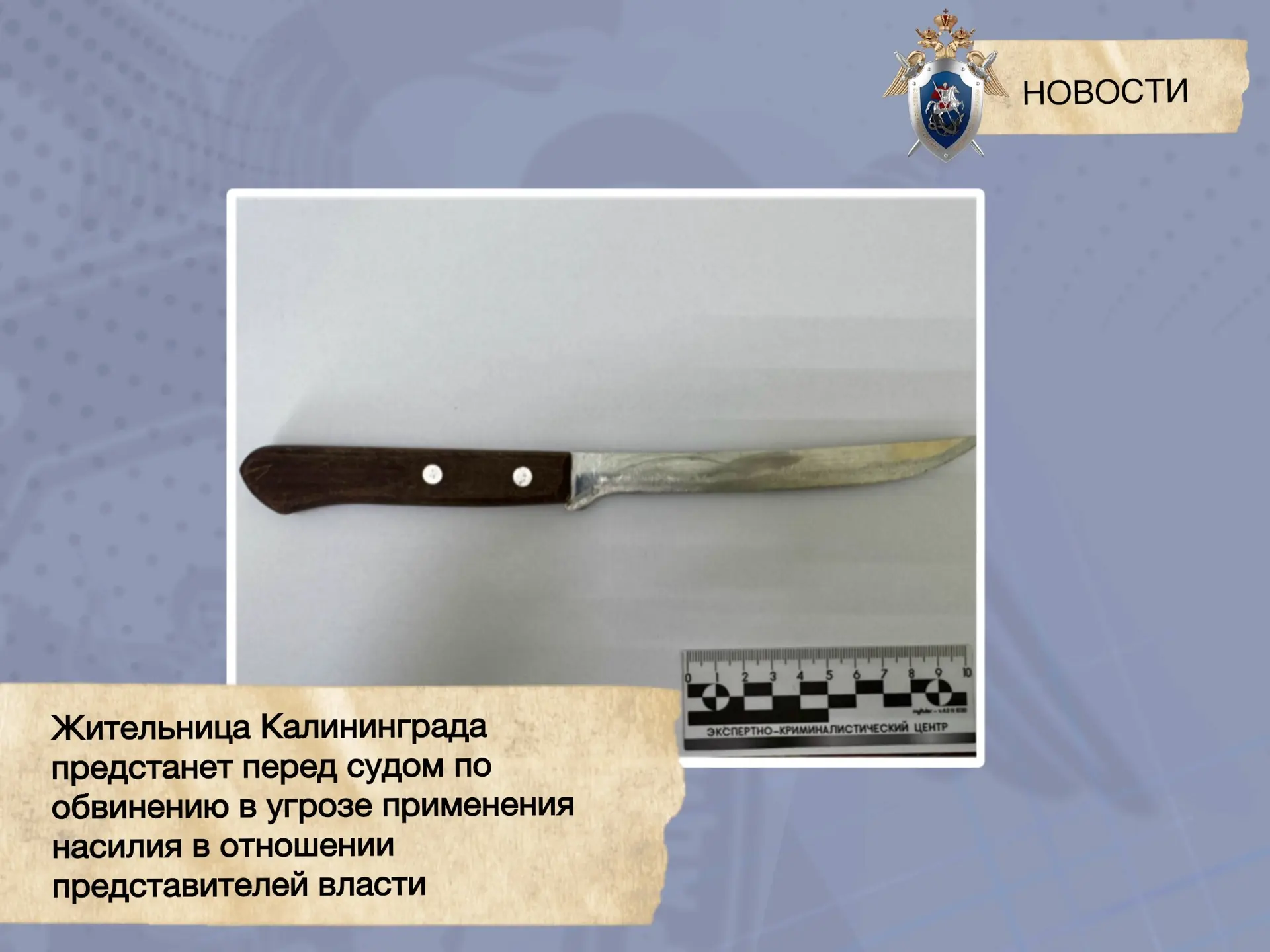 43-летнюю женщину будут судить за угрозы полицейским с ножом 43-летнюю женщину будут судить за угрозы полицейским с ножом