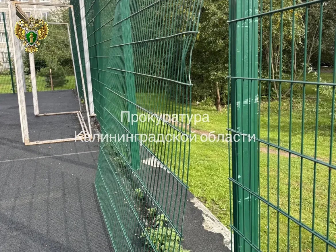 Прокуратура требует 100 тысяч рублей за травмы ребёнка на спортплощадке в Зеленоградске Прокуратура требует 100 тысяч рублей за травмы ребёнка на спортплощадке в Зеленоградске