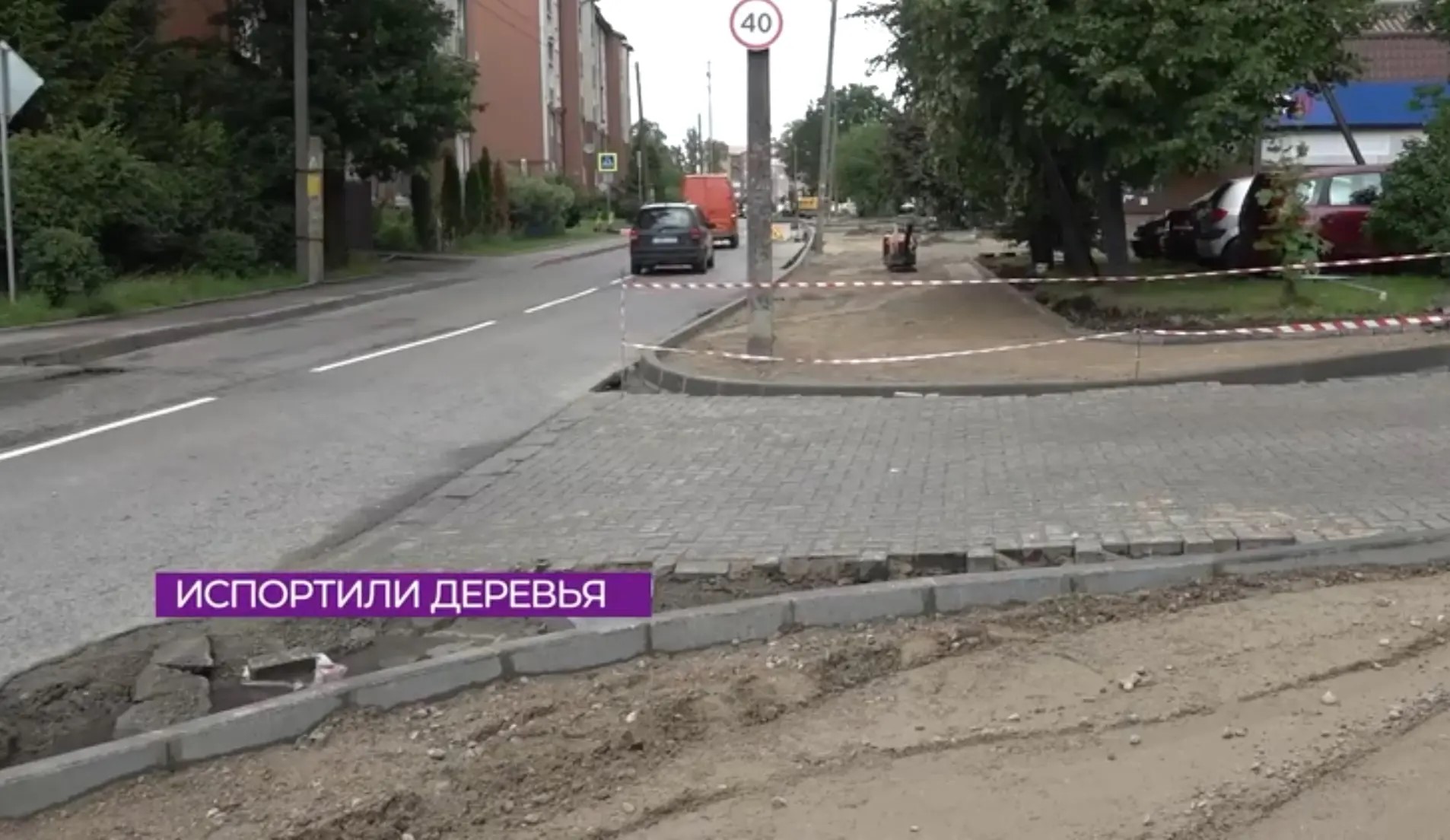 В Калининграде строители тротуаров повредили деревья В Калининграде строители тротуаров повредили деревья