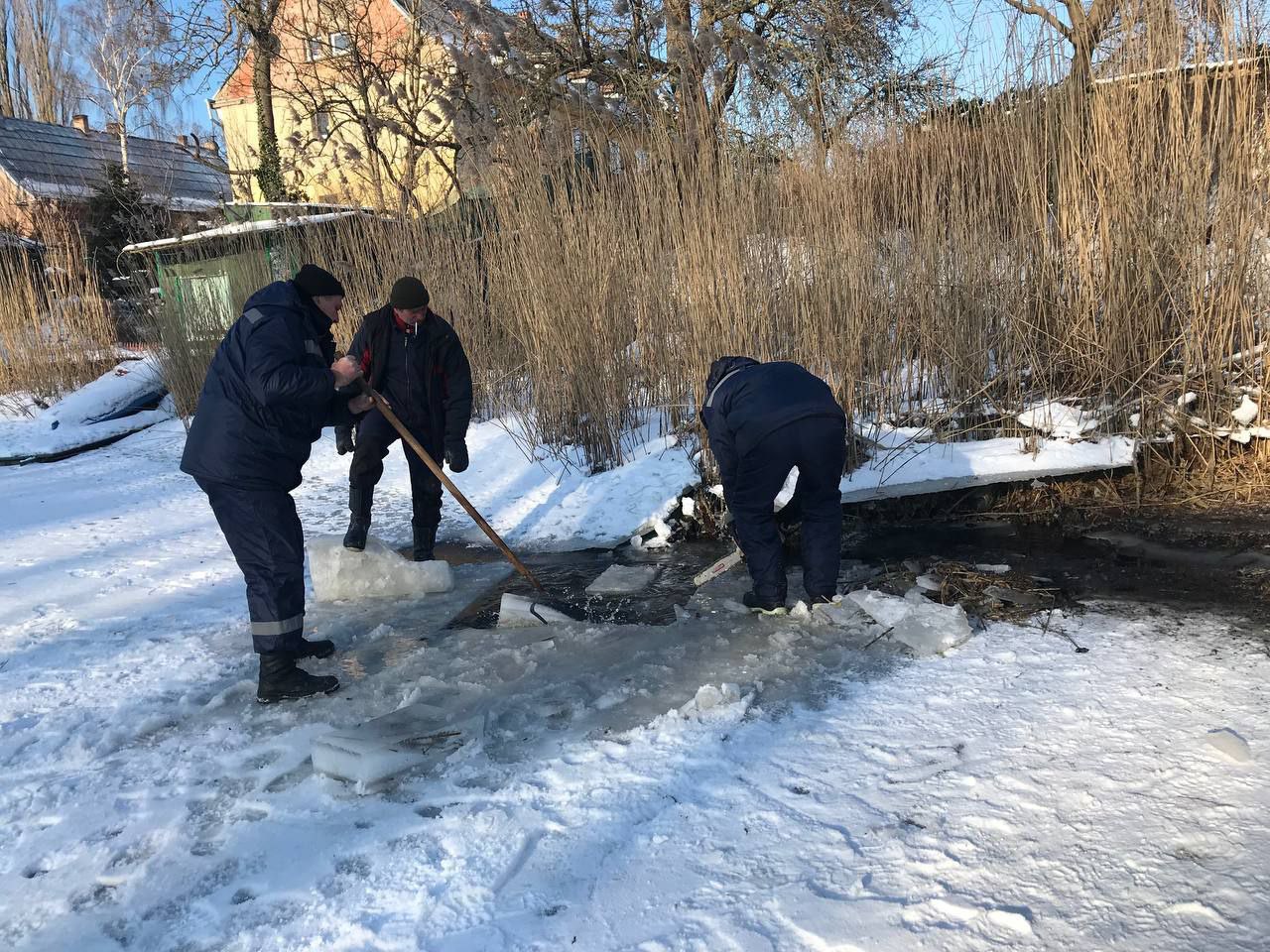 В Балтийске сделали прорубь во льду канала ради спасения замерзающих птиц В Балтийске сделали прорубь во льду канала ради спасения замерзающих птиц
