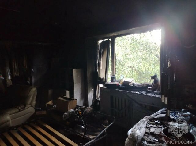 В Калининграде два человека чуть не сгорели в своей квартире В Калининграде два человека чуть не сгорели в своей квартире