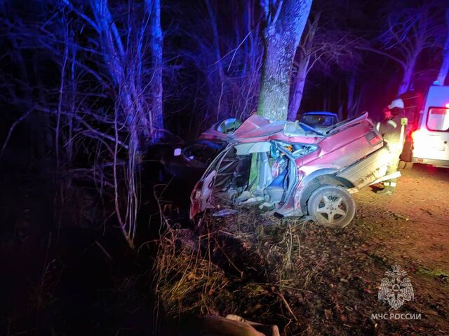 Под Гусевом в аварии погибли два человека Под Гусевом в аварии погибли два человека