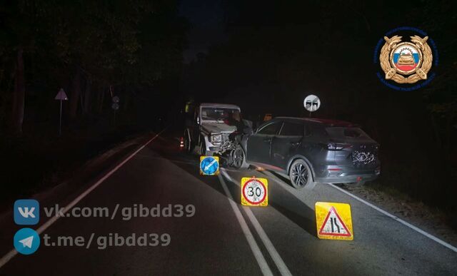 На зеленоградской трассе два автомобилиста попали в больницу из-за животного На зеленоградской трассе два автомобилиста попали в больницу из-за животного
