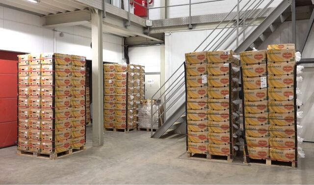 Бананы подвели под единый ГОСТ Бананы подвели под единый ГОСТ