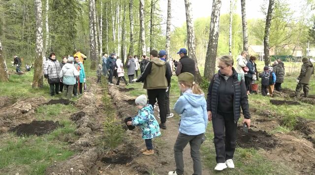 В Калининграде высадили почти 300 деревьев В Калининграде высадили почти 300 деревьев