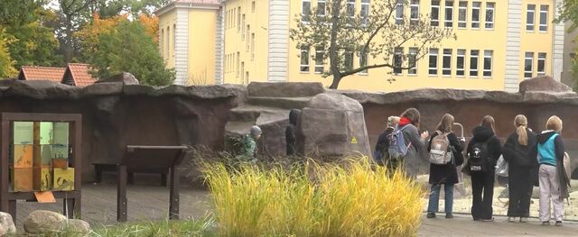 Калининградский зоопарк выделил на ремонт главного здания 26 млн рублей Калининградский зоопарк выделил на ремонт главного здания 26 млн рублей