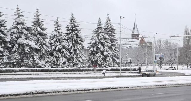 В Калининграде не хватает порядка 30% сотрудников для уборки территорий В Калининграде не хватает порядка 30% сотрудников для уборки территорий