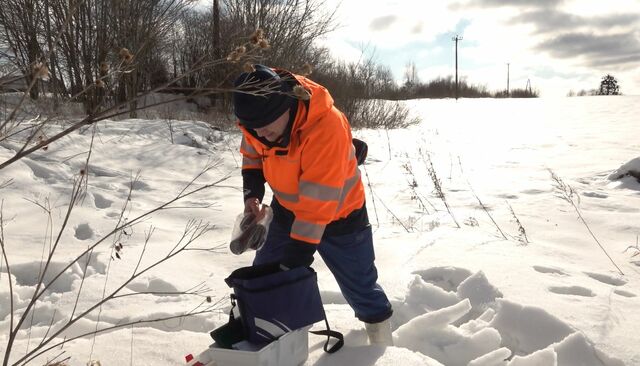 В Калининградской области готовится глобальное пробуждение клещей В Калининградской области готовится глобальное пробуждение клещей