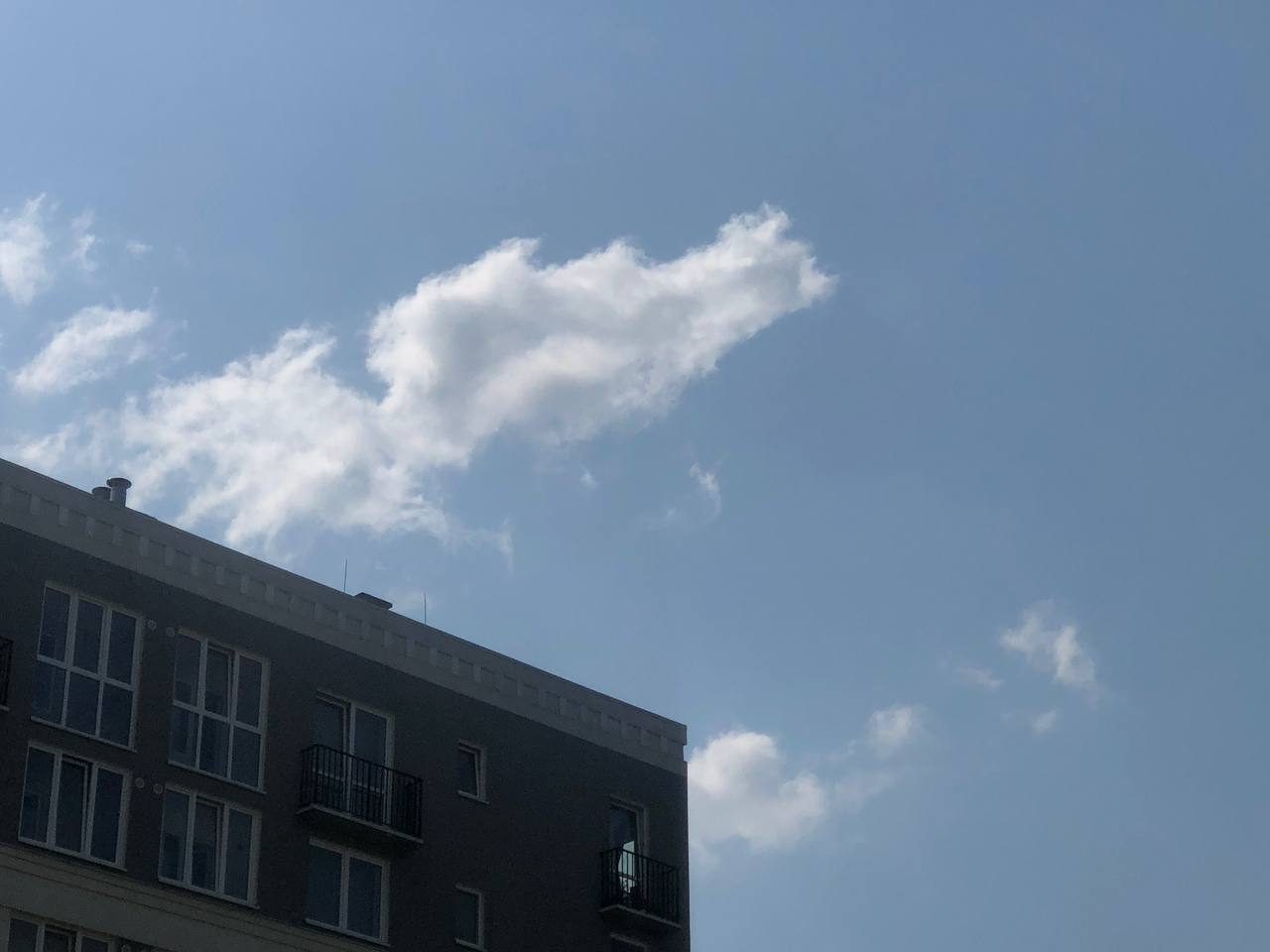 8 марта температура в Калининграде достигла +15°C 8 марта температура в Калининграде достигла +15°C