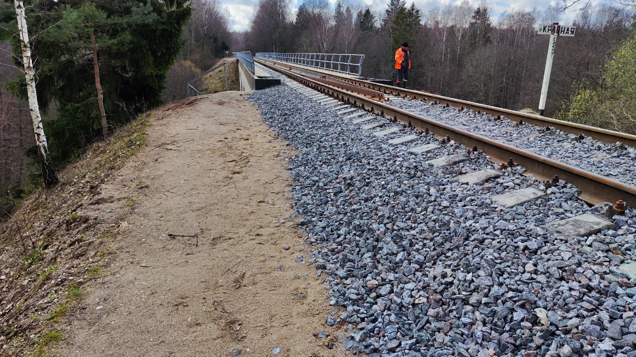 7 раз применяли экстренное торможение: калининградские железнодорожники бьют тревогу из-за участившихся случаев выхода на пути 7 раз применяли экстренное торможение: калининградские железнодорожники бьют тревогу из-за участившихся случаев выхода на пути