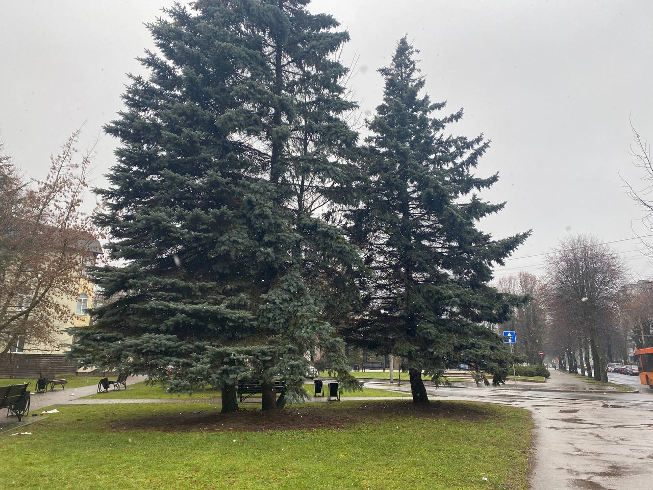 Синоптики прогнозируют резкое потепление в Калининградской области в последнюю субботу зимы Синоптики прогнозируют резкое потепление в Калининградской области в последнюю субботу зимы