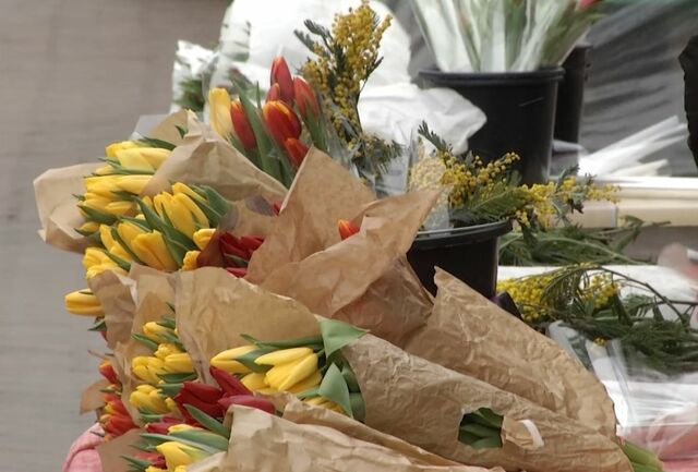 Куда бесплатно сходить 8 марта в Калининграде? Куда бесплатно сходить 8 марта в Калининграде?